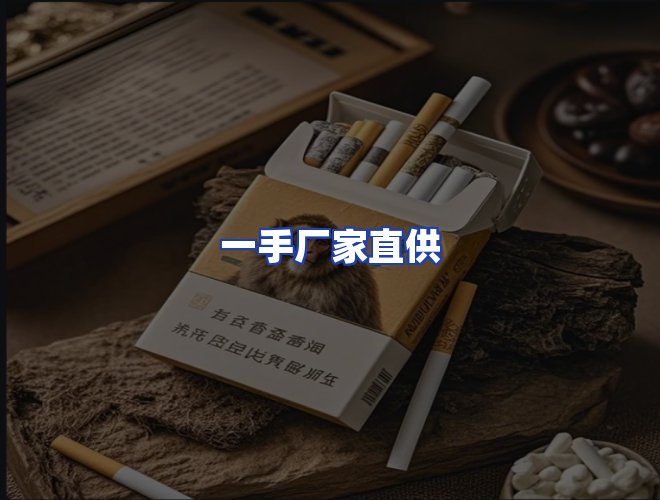 专业团队